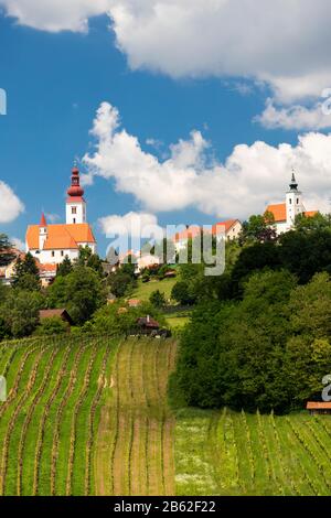 Stadt Straden und Weinberge in der Steiermark, Österreich Stockfoto