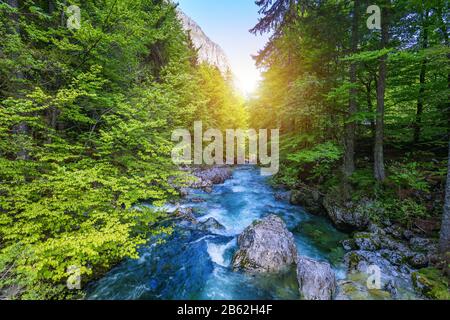 Cold Mountain Stream aus Wasserfall Savica, Fluss Sava in der Nähe von Lake Bohinj, Slowenische Alpen, Slowenien. Der Sava Bohinjka ist ein Oberlauf des Flusses Sava Stockfoto