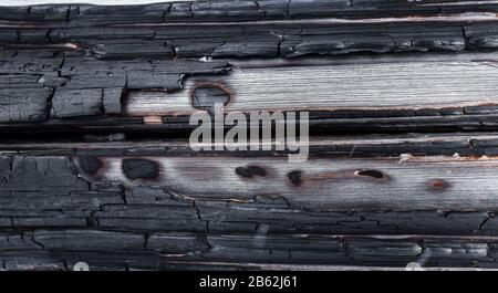 Hintergrund, Struktur des verbrannten Holzstamms Stockfoto
