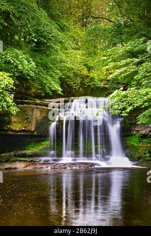 Cauldron Falls (auch bekannt als West Burton Falls), West Burton, Lower Wensleydale, Yorkshire Dales, England, Großbritannien Stockfoto