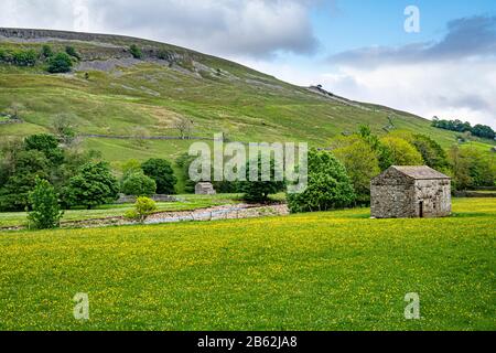 Traditionelle Steinscheune in Heuwiese, Upper Swaledale, Yorkshire Dales National Park, England, Großbritannien Stockfoto