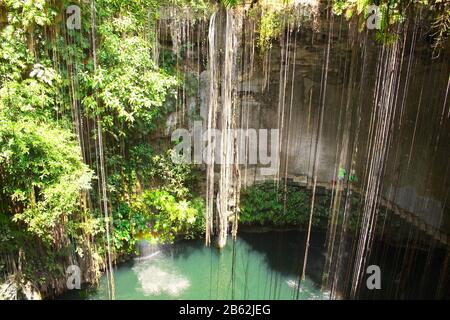 Ik-Kil Cenote in der Nähe von Chichen Itza, Yucatan, Mexiko Stockfoto
