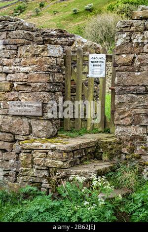 Steintreppen, die zu einem Stiel in einer Trockensteinmauer in Upper Swaledale, Yorkshire Dales National Park, England, Großbritannien führen Stockfoto