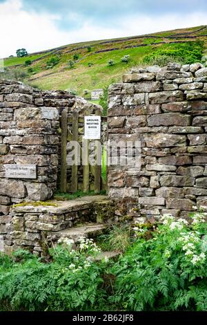 Steintreppen, die zu einem Stiel in einer Trockensteinmauer in Upper Swaledale, Yorkshire Dales National Park, England, Großbritannien führen Stockfoto