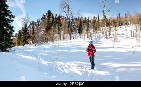 Wanderer, Spaziergänge im Schneewald Stockfoto