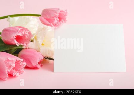 Blumen verspotten Gratulation. Glückwunschkarte im Blumenstrauß mit rosafarbenen Tulpen im Hintergrund. Weiße leere Karte mit Platz für Text, Rahmen-Mockup Stockfoto