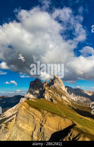 Blick auf die Seceda mit Vögel fliegen über die Gipfel. Trentino Südtirol, Dolomiten, Alpen, Südtirol, Italien. Gröden. Majestic Furchetta Peak. Odles Stockfoto