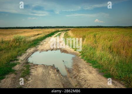 Eine große Pfütze auf einer ländlichen Sandstraße durch Felder und blauen Himmel Stockfoto