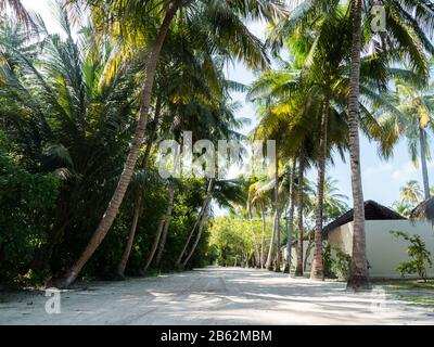 Dirt Road, Die Sich Durch Den Dschungel Maledivians Erstreckt. Wohnungen in der Nähe der Straße. Stockfoto