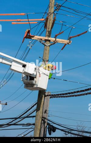 Eine Bildfolge eines Holz-Elektroversorgungsmastes, der im Laufe mehrerer Tage ersetzt wird. Stockfoto