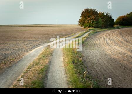 Schöner Feldweg durch gepflügte Felder, Sträucher an der Straße Stockfoto