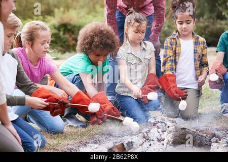Teamleiter Mit Einer Gruppe Von Kindern Auf Einem Ausflug Zur Außenaktivität Zum Toasten Von Marshmallows Über Dem Lagerfeuer Stockfoto