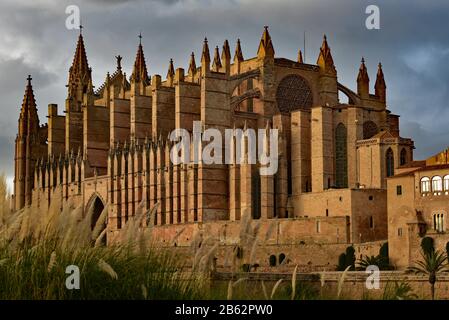 Stürmischen Himmel über La Seu, die gotische Kathedrale Santa Maria von Palma, Mallorca, Balearen, Spanien, Europa. Stockfoto