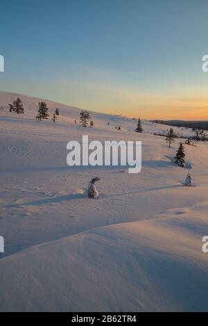 Szene in Pallastunturi, Muonio, Finnland Stockfoto