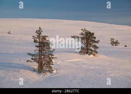 Szene in Pallastunturi, Muonio, Finnland Stockfoto