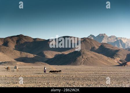 Berge in der Nähe von Scheich Shazly (Humaithara), Oberägypten Stockfoto