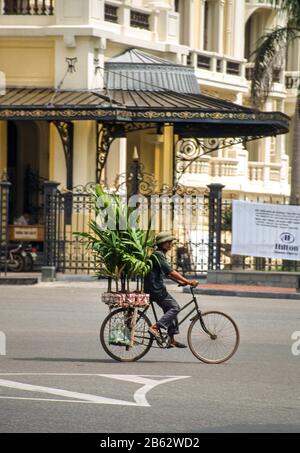 Radfahrer mit großen Pflanzen auf seinem Fahrrad vor dem Grand Opera House, Hanoi, Vietnam, November 2000 Stockfoto