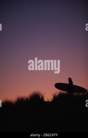 Silhouette Der Weiblichen Surfer, Die Surfboard Über Dunes Gegen Sing Sun Tragen Stockfoto