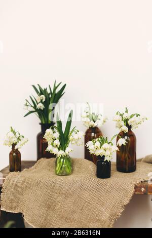 Weiße Frühlings-Blumen in Glasgefäßen auf rustikalem Leinentuch auf Holzhintergrund. Ländliches Stillleben. Hallo Frühling. Gartenfrühling Schneeflocke. Glücklicher Mother Stockfoto