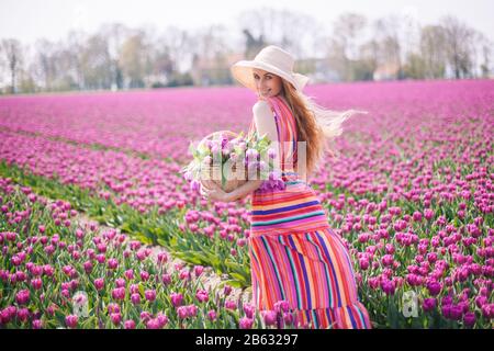 Zauberhafte niederländische Landschaft mit schönen langen roten Haaren, die im gestreiften Kleid tragen. Mädchen, die Blumenstrauß mit bunten Tulpen in Korb halten und auf violetten Tulpenfeldern stehen. Federkonzept Stockfoto