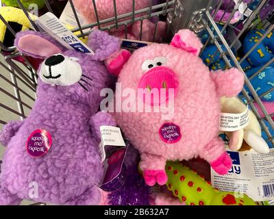 Orlando, FL/USA-3/7/20: Eine Mülltonne mit farbenfrohen Hundespielzeugen zum Verkauf in einem Petsmart Superstore. Stockfoto