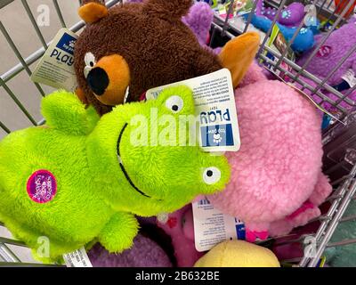 Orlando, FL/USA-3/7/20: Eine Mülltonne mit farbenfrohen Hundespielzeugen zum Verkauf in einem Petsmart Superstore. Stockfoto