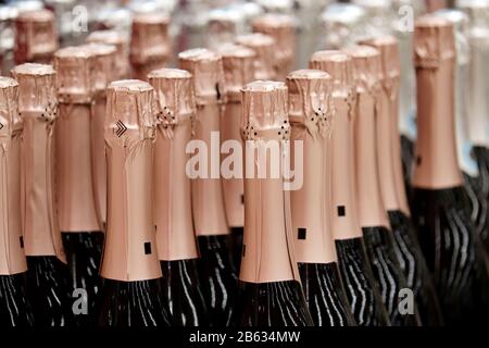 Champagnerflaschen in einer Reihe, selektiver Fokus. Spirituosenladen, Konzept zur Herstellung von Sekt Stockfoto