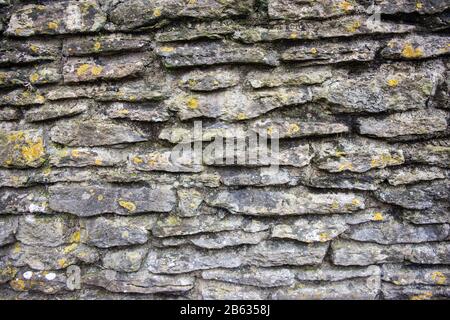 Nahaufnahme einer mit flachen Steinen errichteten, mit verschiedenen Flechten und Moosen bewachsenen, bemordeten Steinmauer Stockfoto