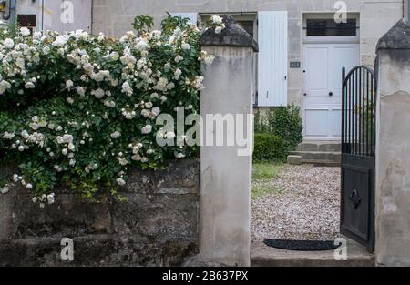 Chateau de Chenonceau ist eines der meistfotografierten und meistbesuchten Schlösser in Frankreich für seine Architektur, Innenräume, Kunstwerke und den Garten. Stockfoto