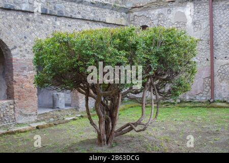 Veduta di Pompei Stockfoto