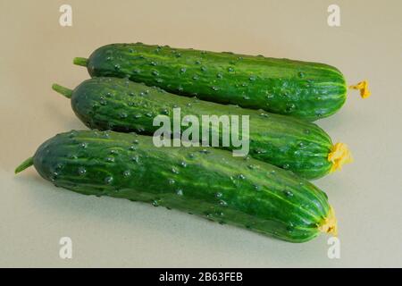 Drei frische grüne Gurken liegen auf grauem Grund nahe. Stockfoto