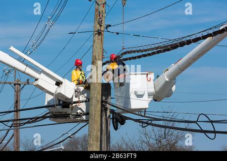 Eine Bildfolge eines Holz-Elektroversorgungsmastes, der im Laufe mehrerer Tage ersetzt wird. Stockfoto