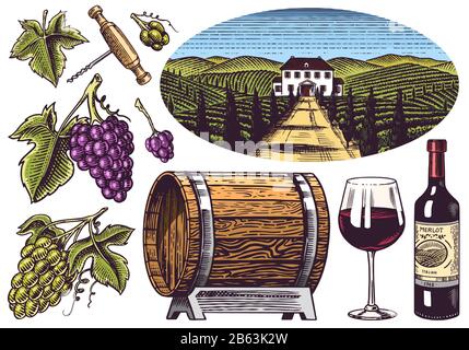 Weinberg und Weinset. Trauben und Holzfass. Weinplantage für Flaschenetiketten. Gravierte Landschaft. Handgezeichnete Vintage-Skizze für Alkoholplakat Stock Vektor