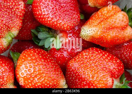 Natürliche frische Erdbeeren Stockfoto