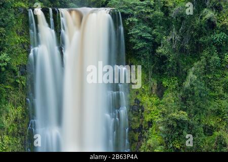 Akaka Falls, auf der Insel Hawaiʻi, in voller Strömung nach heftigen Regenfällen Stockfoto