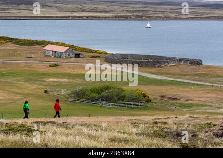 Die Siedlung Darwin in Ostfalkland, Falklandinseln. Stockfoto