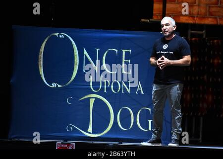 Mexiko, Mexiko. August 2019. Der Dog Trainer Cesar Millan spricht während seiner Show "Once Upon A Dog" in der Mexico City Arena in Mexiko-Stadt, Mexiko (Foto von Eyepix Group/Pacific Press) Credit: Pacific Press Agency/Alamy Live News Stockfoto