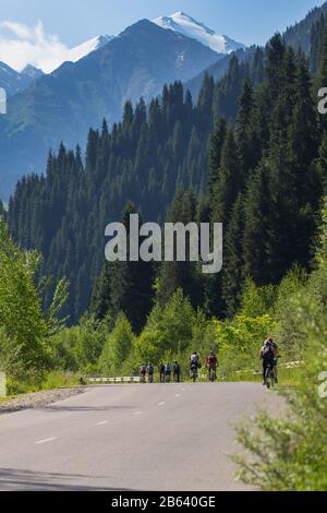 Eine Gruppe von Radfahrern, die auf der Straße in die Berge fahren. Aktivwochenende im Freien. Blick auf die Rückseite Menschen, die mit einem Fahrrad in den Bergen fahren. Kasachstan, Alma Stockfoto