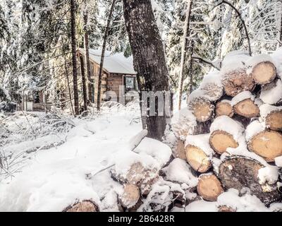 Kabine im Wald im Winter, Kanada Stockfoto