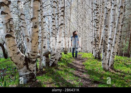 Ein Mannfotograf steht im Quellbirkenwald auf dem Weg. Der Kerl hält eine Kamera in der Hand. Ansicht von hinten. Frisches Jungrasen und Wildf Stockfoto