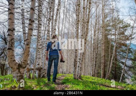 Ein Mannfotograf steht im Quellbirkenwald auf dem Weg. Der Kerl hält eine Kamera in der Hand. Ansicht von hinten. Frisches Jungrasen und Wildf Stockfoto