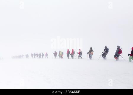 Elbrus, Kaukasusgebirge, Russland. Eine riesige Gruppe von Kletterern steigt im Nebel vom Elbrus ab. Das Konzept, den Berg in einem Schneesturm zu besteigen Stockfoto