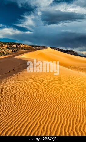 Wind Wellen im Dunes, Sonnenuntergang, Coral Pink Sand Dunes State Park, Utah, USA Stockfoto