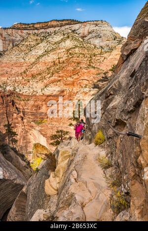Wanderer am Hidden Canyon Trail, hängender Canyon über dem Zion Canyon, Tempel von Sinawava in der Ferne, Zion National Park, Utah, USA Stockfoto
