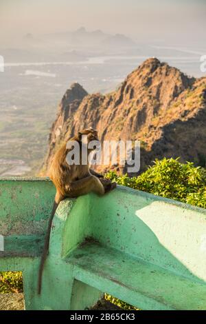 Ze Ka Bin Pagode, Myanmar, Asien. Stockfoto