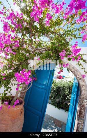 Farbenfroher Blick auf die typisch mediterrane blaue, gewölbte Tür, die von rosafarbenen Bougainvillea-Blumen umrahmt wird Stockfoto