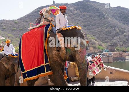 Elefanten mit roten Vorhängen über ihnen, die Touristen vor den massiven aravali-hügeln auf dem Aufstieg zu bernsteinfarbenem Fort tragen Stockfoto