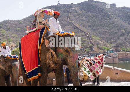 Elefanten mit roten Vorhängen über ihnen, die Touristen vor den massiven aravali-hügeln auf dem Aufstieg zu bernsteinfarbenem Fort tragen Stockfoto