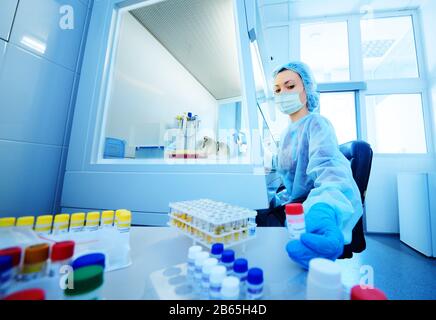 Wissenschaftlerin in einer schützenden medizinischen Maske und Gummihandschuhen macht PCR-DNA-Tests in einem modernen chemischen und bakteriologischen Labor. Stockfoto