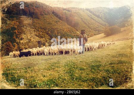 Schafherde auf schöner Bergwiese, alter Fotoeffekt. Stockfoto